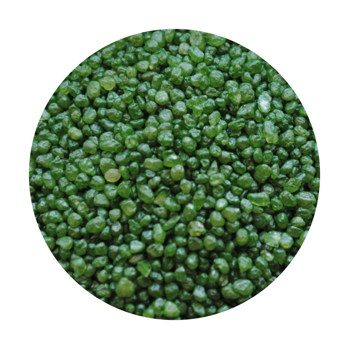 Greenfill Envirofill: Sustainable Synthetic Turf Infill | Motz